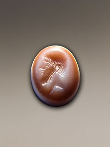 Ring stone - Banded agate - Bearded male head