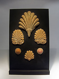 Collection of four palmettes and two buttons - Terracotta