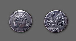 Anonyme - AR quadrigatus