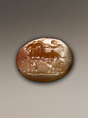 Ring stone - Carnelian - Aurige driving a biga