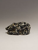 Mouse - Grano-diorite